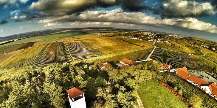 Vína také řádně okoštujete – součástí balíčku je degustační karta na 24 vzorků (tj. 4 vzorky na jedno vinařství).