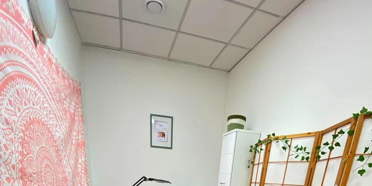 Kosmetička pracuje pouze s kvalitní japonskou kosmetikou Shiseido.