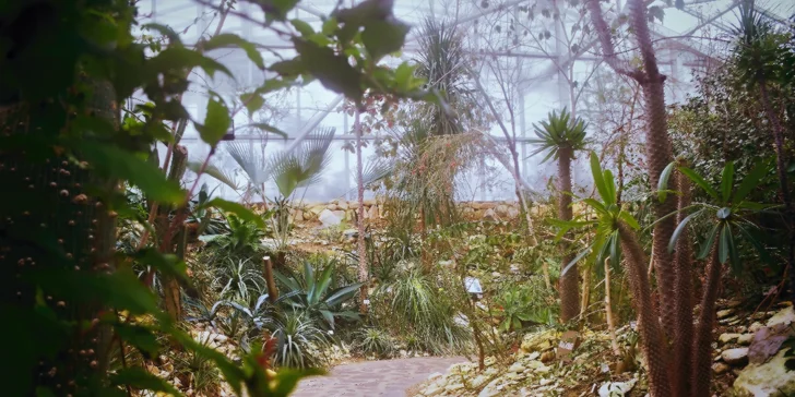 Na procházku zajděte třeba do teplické botanické zahrady, nebo na teplický zámek.