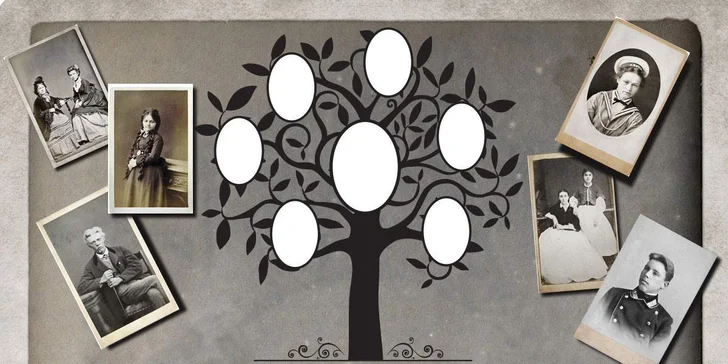 Rodokmen zobrazující celkem 5 generací formou diagramu