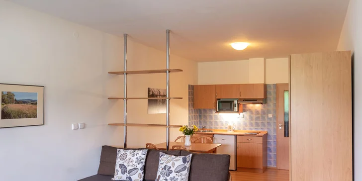  V kuchyni nechybí lednice, mikrovlnná trouba, rychlovarná konvice, kávovar a a další nezbytnosti (třílůžkový apartmán).
