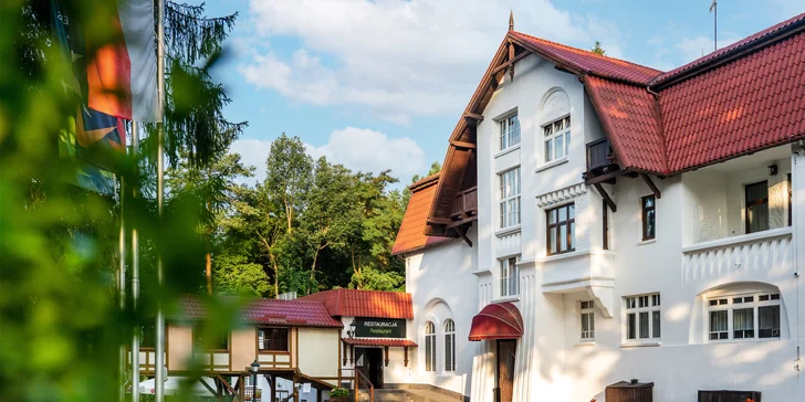 Hotel stojí v krásné přírodě, v blízkosti lesů. 