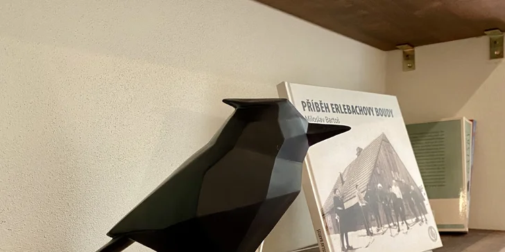Za příplatek můžete vzít i své domácí mazlíčky. 