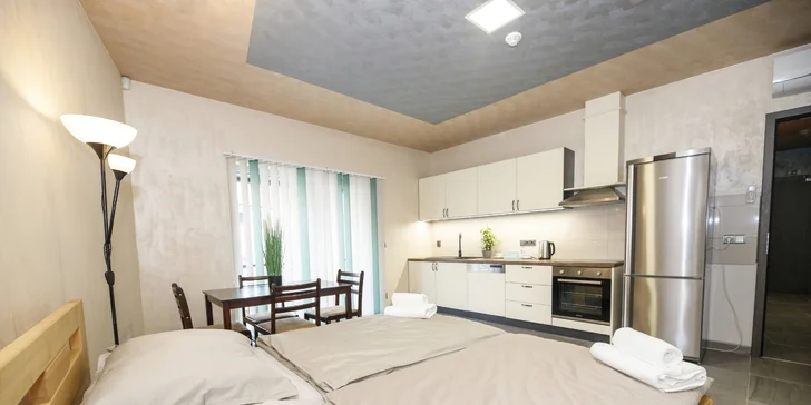Apartmán vás potěší i kuchyňským koutem.