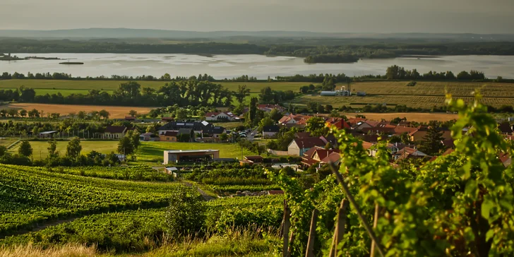 Pohárky navíc doplníte o farmářské sýry nebo masné prkénko (případně obojí) s čerstvým pečivem.