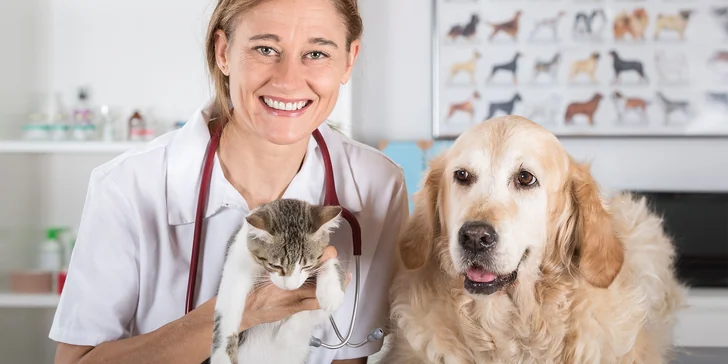 Starostlivosť o psíkov a mačičky na veterinárnej ambulancii MoniVET - dentálna hygiena aj starostlivosť o srsť