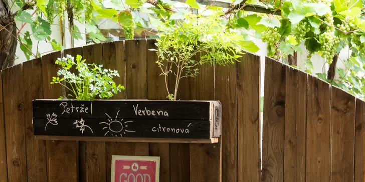 Sem chodí kuchaři na bylinky. 