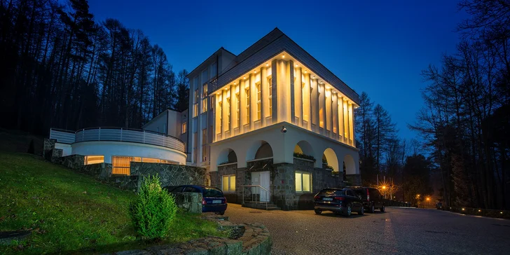 Hotel sa nachádza uprostred smrekového parku