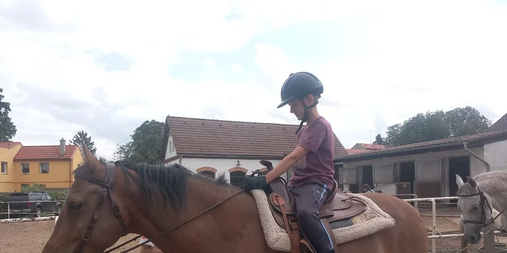 Na výběr je projížďka s poníkem pro děti nebo individuální lekce s koňmi v jezdecké škole.
