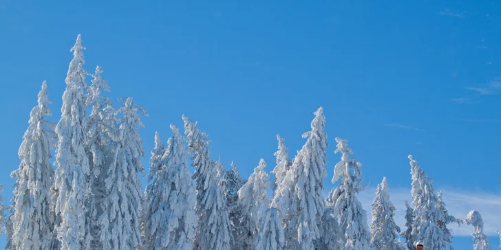 Skiareál Frymburk je 1 km od penzionu, 600 m od něj začínají běžkařské tratě. 