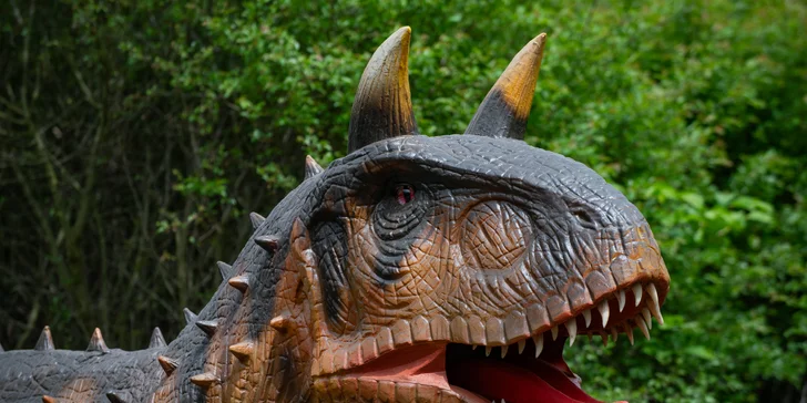 Jak se budete procházet po bezbariérové stezce o délce cca 1,2 km, kterou snadno zdoláte i s kočárkem, uvidíte po levé i pravé straně různé druhy dinosaurů.