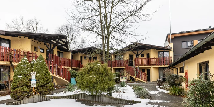 Prohlédnete si pavilon žiraf, primátů nebo tropický les.