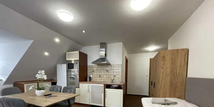 Apartmán disponuje vybavenou kuchyňou.