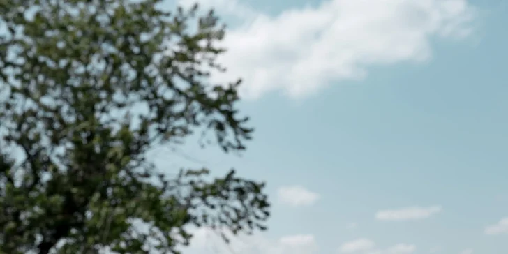 Láhev vína z Provence, kterou dostanete při příjezdu, pochází ze soukromých vinic hotelu. 