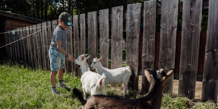  Pri kontaktnej návšteve môžete zvieratká hladkať, dozvedieť sa o nich všetky možné zaujímavosti od ošetrovateľov