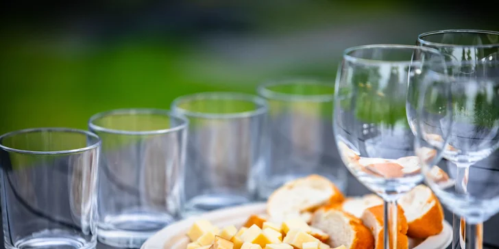 Degustácia zahŕňa aj občerstvenie vo forme syra, pečiva a vody, ktoré vám spoľahlivo zneutralizujú chuť v ústach a vy si tak budete môcť naplno vychutnať každý dúšok