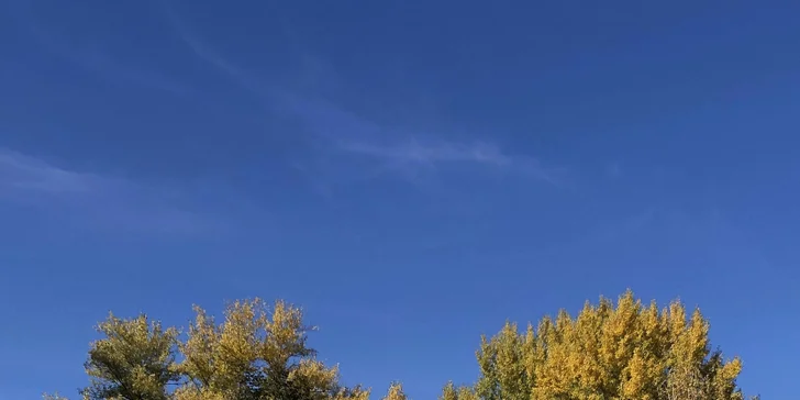 Poletíte z letiště Vyškov od zeleného hangáru.