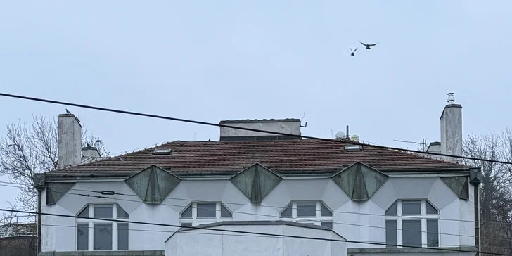 Během 2⁠–⁠3 hodin vás čeká 26 zastavení plných zajímavostí, architektonických detailů i překvapivých souvislostí. 