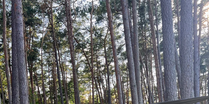 Kúsok od centra mesta nájdete rezerváciu Klif Łukęciński s krásnym výhľadom na more, o niečo ďalej (2 km od centra) je rezervácia Pobierowo.