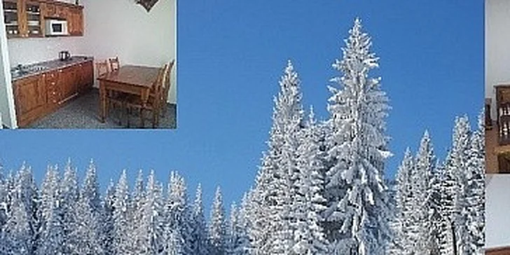 Pronájem apartmánu v Kašperských Horách na Šumavě