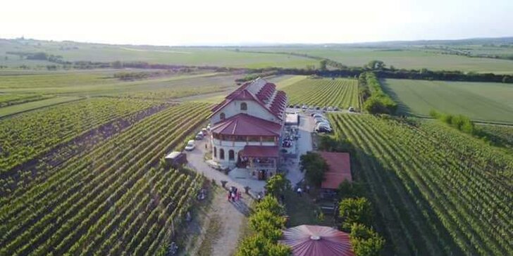 Pobyt na jižní Moravě: ubytování mezi vinicemi, polopenze, degustace vína i zabijačka