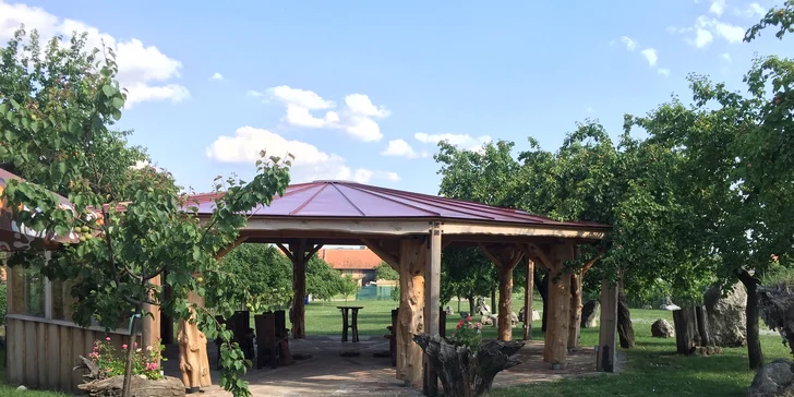 Relax na jižní Moravě: ubytování mezi vinicemi, polopenze a víno
