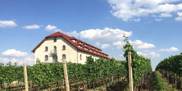 Relax na jižní Moravě: ubytování mezi vinicemi, polopenze a víno