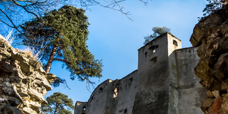 Jižní Morava pro rodiny či romantiky: polopenze a víno i káva se zákuskem