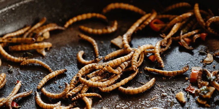 Vstupenky na zážitkový festival Dej si FOOD i s čipem na útratu