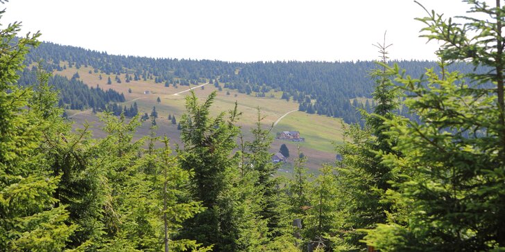 Dovolená v Krkonoších: pobyt na horské chatě s polopenzí pro páry i rodiny