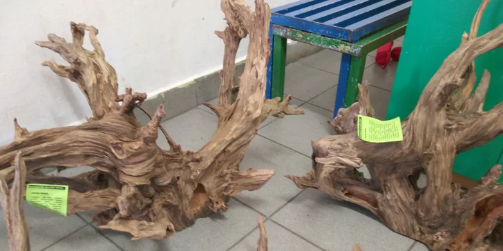 Vstupné na největší výstavní a prodejní akvaristickou burzu Ryby a rybičky