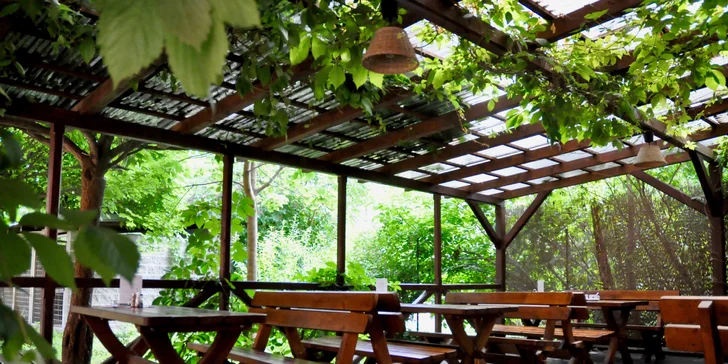 Indické menu pro 2 nebo 4 osoby v restauraci s krásnou zahrádkou
