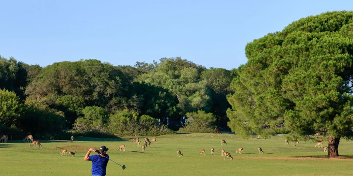 Nachází se tu také parádní golfové hřiště. 