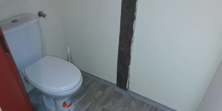 Prázdniny v sedle: týdenní dětský tábor u koní
