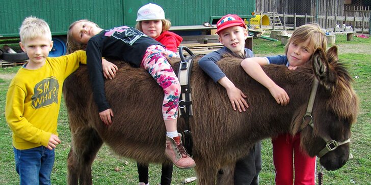 Exkurze na farmě pro celou rodinu: seznámení se zvířaty, prohlídka areálu i jízda na oslíkovi