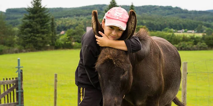 Exkurze na farmě pro celou rodinu: seznámení se zvířaty, prohlídka areálu i interaktivní hry s oslíky