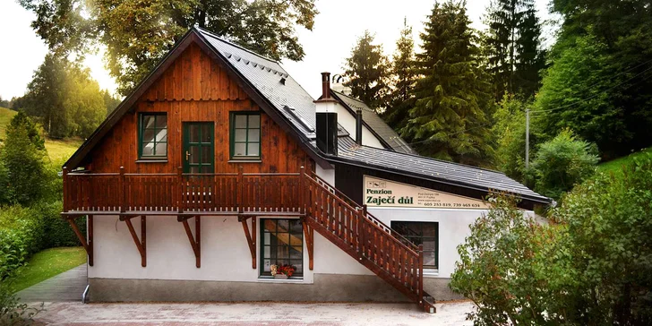 3–8 dní na úpatí Jizerek: apartmány pro partu i rodinu v penzionu s vinným sklípkem