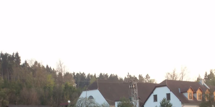 Projížďka na koni v renomované jezdecké škole nedaleko od Prahy!