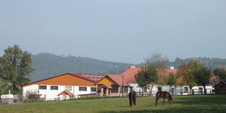 Projížďka na koni v renomované jezdecké škole nedaleko od Prahy!