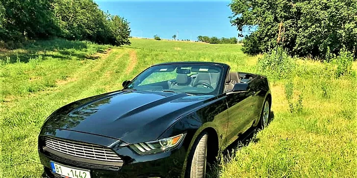Ford Mustang 5.0 GT nebo Ford Mustang Cabrio: 30 min. až 12 hod. řízení