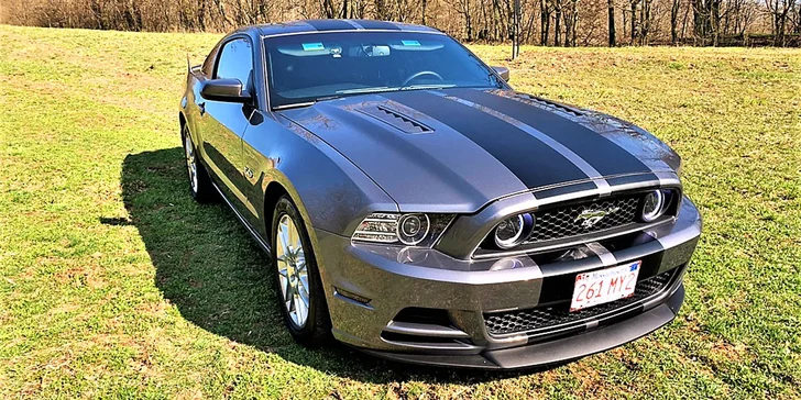 Ford Mustang 5.0 GT nebo Ford Mustang Cabrio: 30 min. až 12 hod. řízení