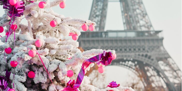 Prožijte nádherný adventní den v kouzelné Paříži s průvodcem