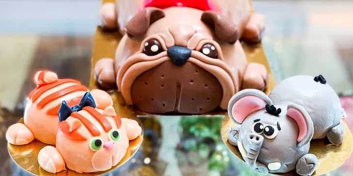 Na oslavu i jen tak: otevřený voucher v hodnotě 300 až 1500 Kč na zákusky i 3D dorty