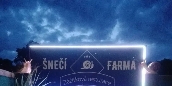 Šnečí delikatesy: ragú, zapečené filé, polévka i grilovaní šneci