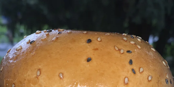 Poctivý burger v zahradní restauraci ve Štruncových sadech: 3 druhy