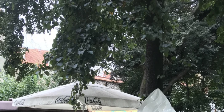 Sladké osvěžení: kornout se 4 kopečky domácího gelata