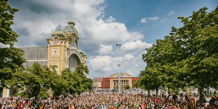 Blíží se Den zvířat: přispějte na krmení a léky pro zvířata z útulků a azylových farem