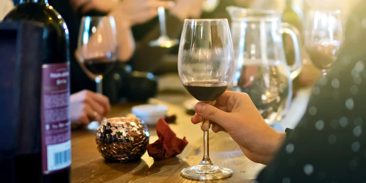 Pobyt v penzionu u Pálavy: snídaně či polopenze i degustace vína