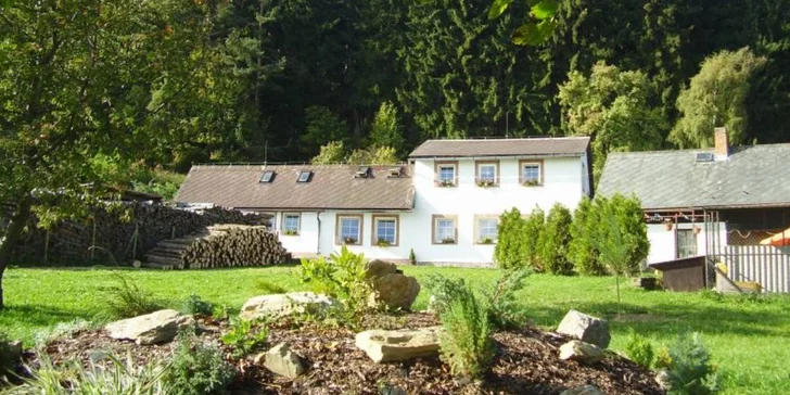Houbaření a relax v moderních wellness apartmánech v srdci Šumavy