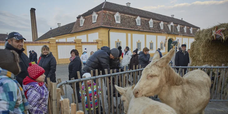 Jednodenní autobusový zájezd do vánočního zámku Schloss Hof a čokoládovny Hauswirth